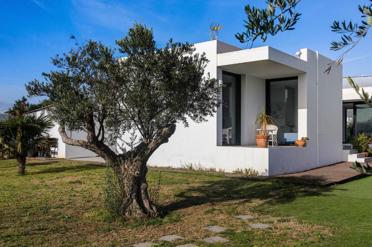 סן חוזה דה סא טלאיה Villa Anur מראה חיצוני תמונה